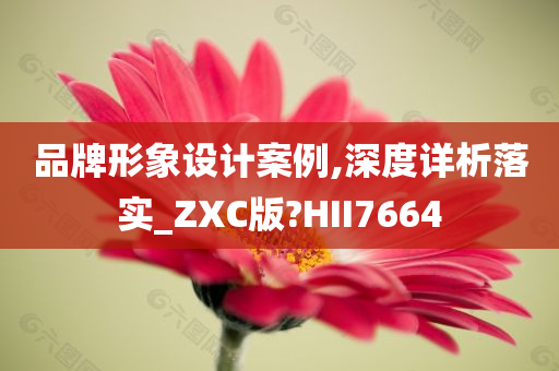 品牌形象设计案例,深度详析落实_ZXC版?HII7664