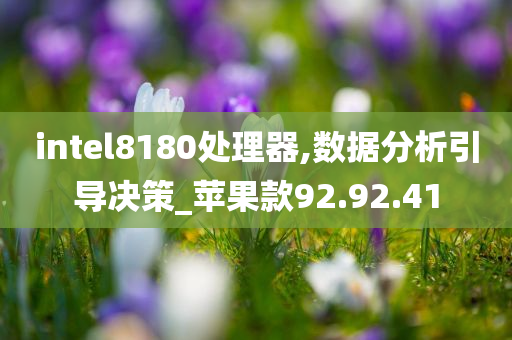 intel8180处理器,数据分析引导决策_苹果款92.92.41