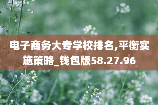 电子商务大专学校排名,平衡实施策略_钱包版58.27.96