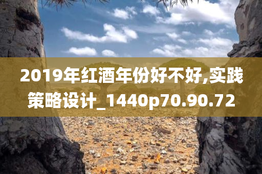 2019年红酒年份好不好,实践策略设计_1440p70.90.72