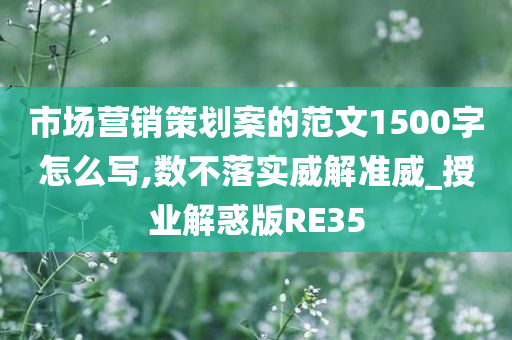 市场营销策划案的范文1500字怎么写,数不落实威解准威_授业解惑版RE35