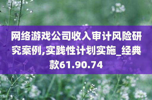 网络游戏公司收入审计风险研究案例,实践性计划实施_经典款61.90.74