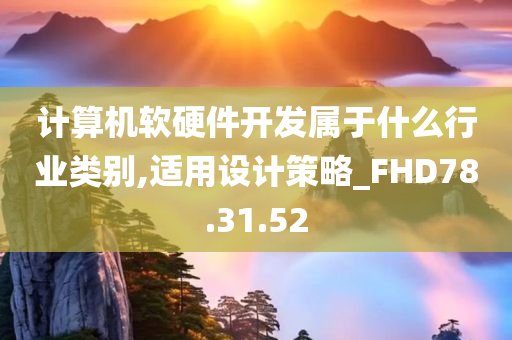 计算机软硬件开发属于什么行业类别,适用设计策略_FHD78.31.52