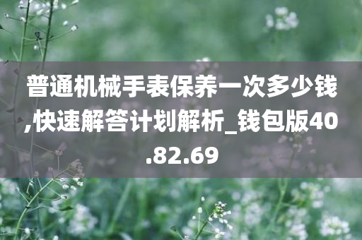 普通机械手表保养一次多少钱,快速解答计划解析_钱包版40.82.69