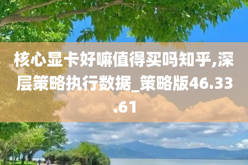 核心显卡好嘛值得买吗知乎,深层策略执行数据_策略版46.33.61