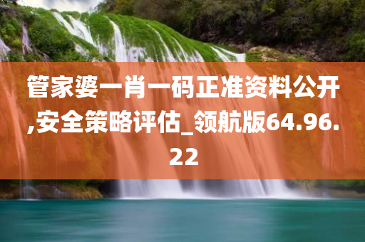 管家婆一肖一码正准资料公开,安全策略评估_领航版64.96.22