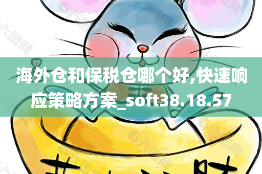 海外仓和保税仓哪个好,快速响应策略方案_soft38.18.57