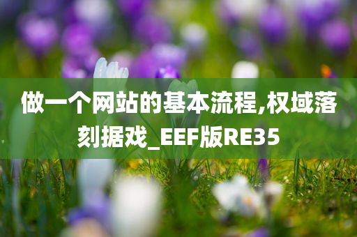 做一个网站的基本流程,权域落刻据戏_EEF版RE35