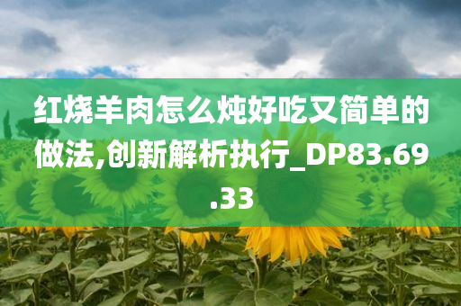 红烧羊肉怎么炖好吃又简单的做法,创新解析执行_DP83.69.33