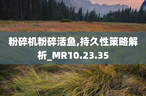 粉碎机粉碎活鱼,持久性策略解析_MR10.23.35