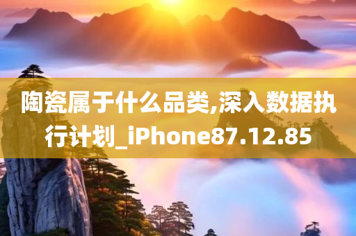 陶瓷属于什么品类,深入数据执行计划_iPhone87.12.85