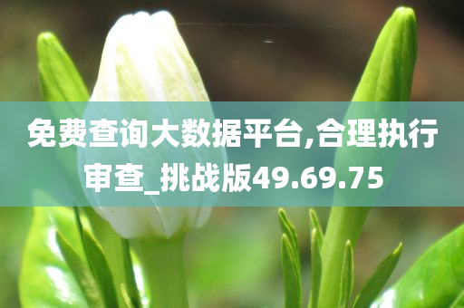 免费查询大数据平台,合理执行审查_挑战版49.69.75