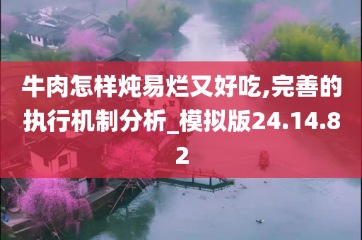 牛肉怎样炖易烂又好吃,完善的执行机制分析_模拟版24.14.82