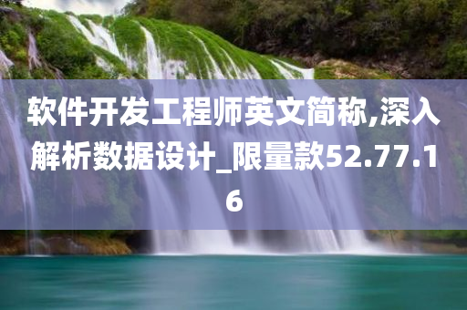 软件开发工程师英文简称,深入解析数据设计_限量款52.77.16