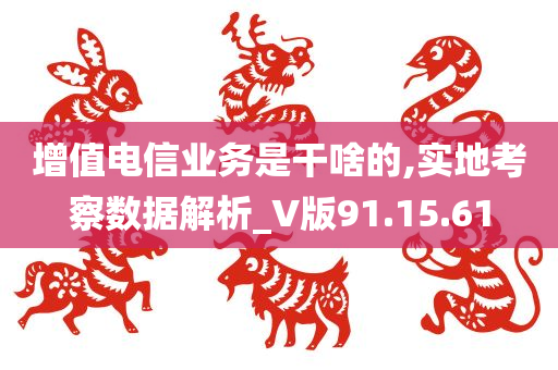 增值电信业务是干啥的,实地考察数据解析_V版91.15.61