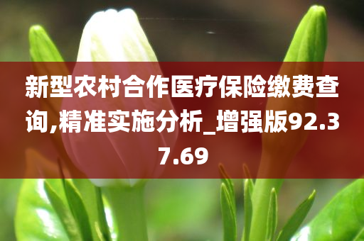 新型农村合作医疗保险缴费查询,精准实施分析_增强版92.37.69