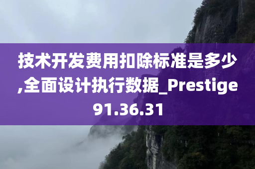 技术开发费用扣除标准是多少,全面设计执行数据_Prestige91.36.31