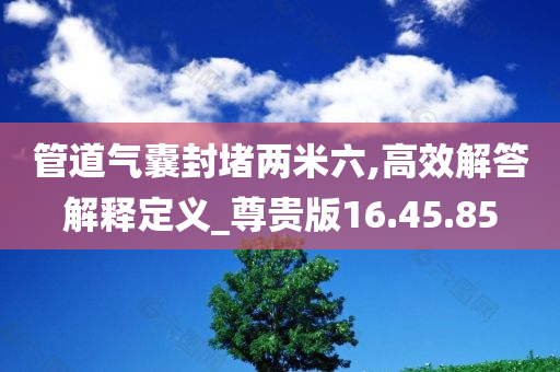 管道气囊封堵两米六,高效解答解释定义_尊贵版16.45.85