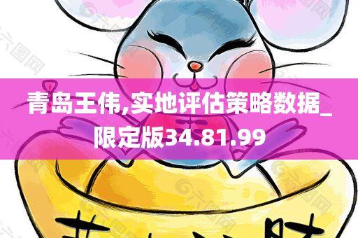 青岛王伟,实地评估策略数据_限定版34.81.99