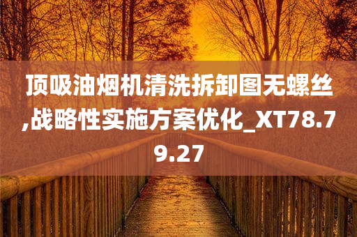 顶吸油烟机清洗拆卸图无螺丝,战略性实施方案优化_XT78.79.27