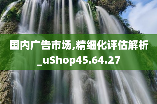 国内广告市场,精细化评估解析_uShop45.64.27