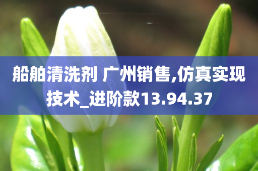 船舶清洗剂 广州销售,仿真实现技术_进阶款13.94.37