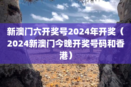 新澳门六开奖号2024年开奖（2024新澳门今晚开奖号码和香港）