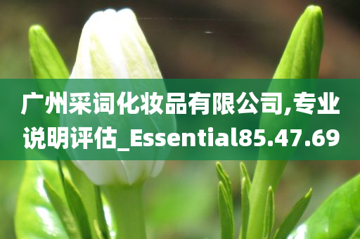 广州采词化妆品有限公司,专业说明评估_Essential85.47.69