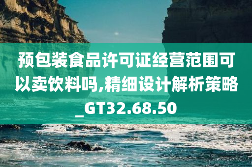 预包装食品许可证经营范围可以卖饮料吗,精细设计解析策略_GT32.68.50