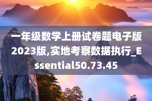 一年级数学上册试卷题电子版2023版,实地考察数据执行_Essential50.73.45