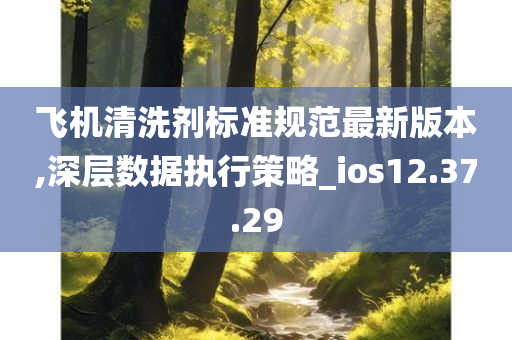 飞机清洗剂标准规范最新版本,深层数据执行策略_ios12.37.29