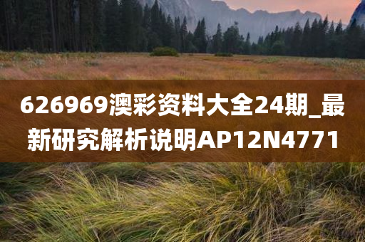 626969澳彩资料大全24期_最新研究解析说明AP12N4771