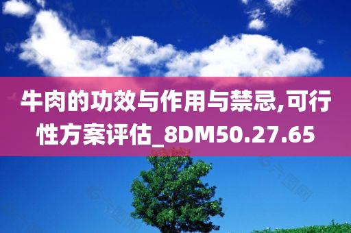 牛肉的功效与作用与禁忌,可行性方案评估_8DM50.27.65