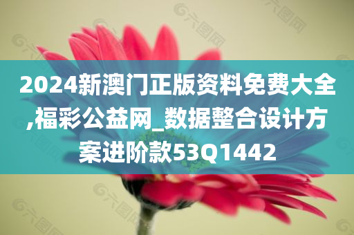 2024新澳门正版资料免费大全,福彩公益网_数据整合设计方案进阶款53Q1442