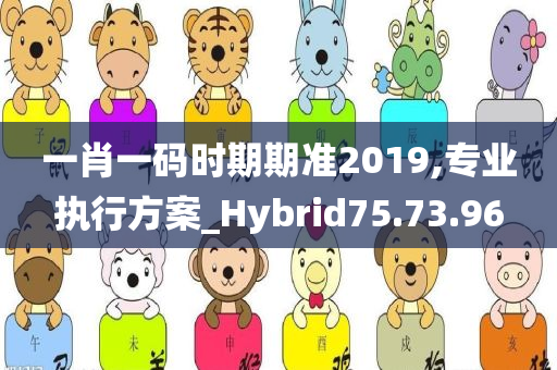 一肖一码时期期准2019,专业执行方案_Hybrid75.73.96