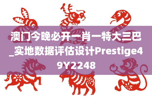 澳门今晚必开一肖一特大三巴_实地数据评估设计Prestige49Y2248