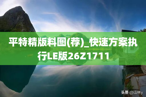 平特精版料图(荐)_快速方案执行LE版26Z1711