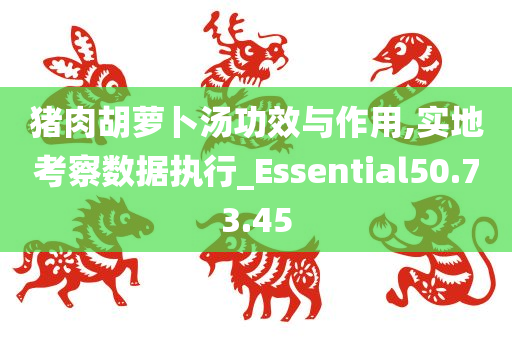 猪肉胡萝卜汤功效与作用,实地考察数据执行_Essential50.73.45