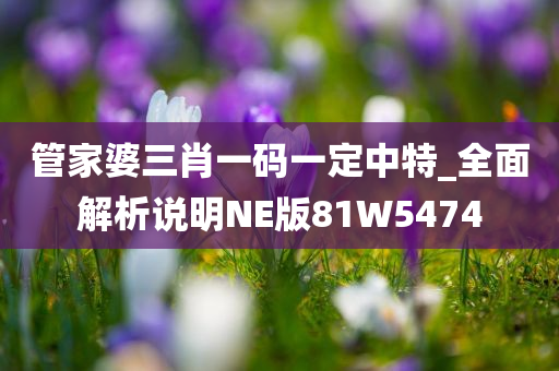 管家婆三肖一码一定中特_全面解析说明NE版81W5474