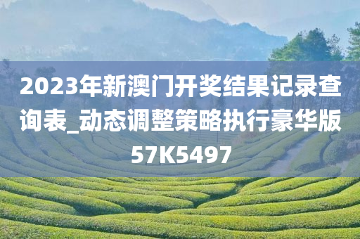 2023年新澳门开奖结果记录查询表_动态调整策略执行豪华版57K5497