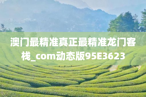 澳门最精准真正最精准龙门客栈_com动态版95E3623