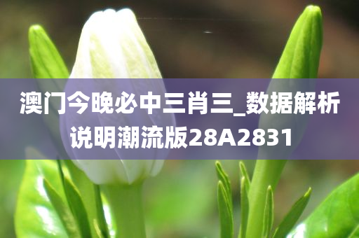 澳门今晚必中三肖三_数据解析说明潮流版28A2831