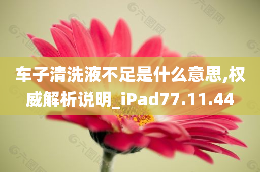 车子清洗液不足是什么意思,权威解析说明_iPad77.11.44