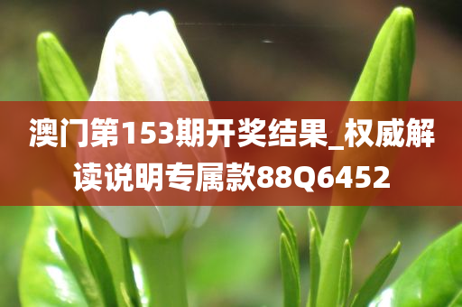 澳门第153期开奖结果_权威解读说明专属款88Q6452