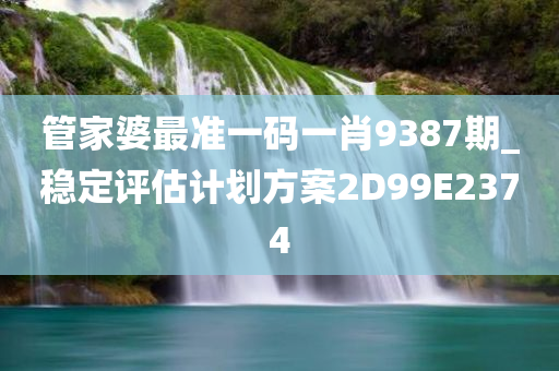 管家婆最准一码一肖9387期_稳定评估计划方案2D99E2374