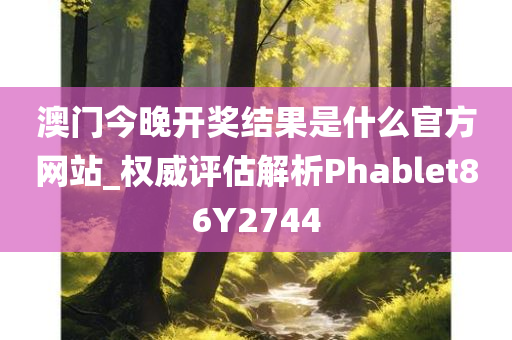 澳门今晚开奖结果是什么官方网站_权威评估解析Phablet86Y2744