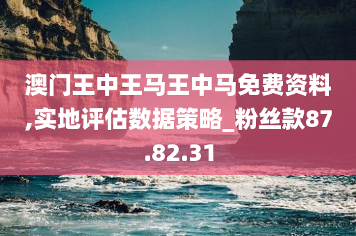 澳门王中王马王中马免费资料,实地评估数据策略_粉丝款87.82.31