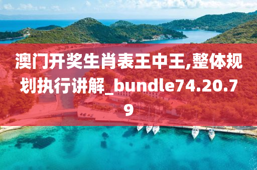 澳门开奖生肖表王中王,整体规划执行讲解_bundle74.20.79