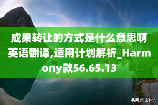 成果转让的方式是什么意思啊英语翻译,适用计划解析_Harmony款56.65.13