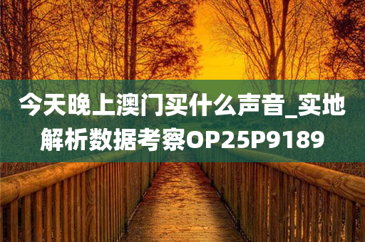 今天晚上澳门买什么声音_实地解析数据考察OP25P9189